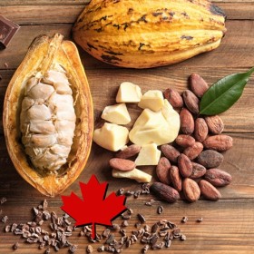 Cocoa Tobacco Type -Tpa-