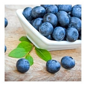 Blueberry Wild -Tpa-