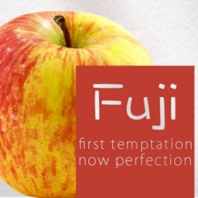 Fuji -FRT-