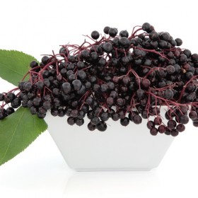 Elderberry -Tpa-