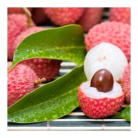 Lychee -Tpa-