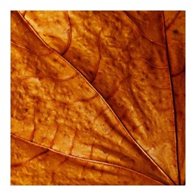 Dk Tobacco Base -Tpa-