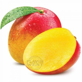Mango -FW-