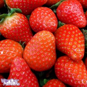 Strawberry (Juicy) -WF-